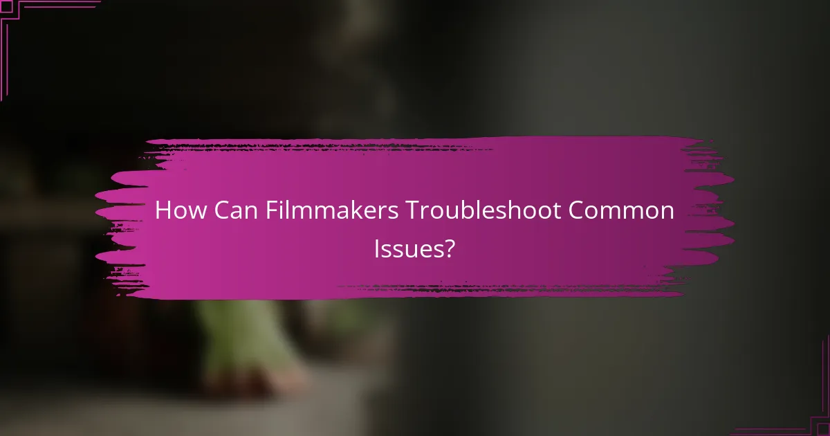 How Can Filmmakers Troubleshoot Common Issues?