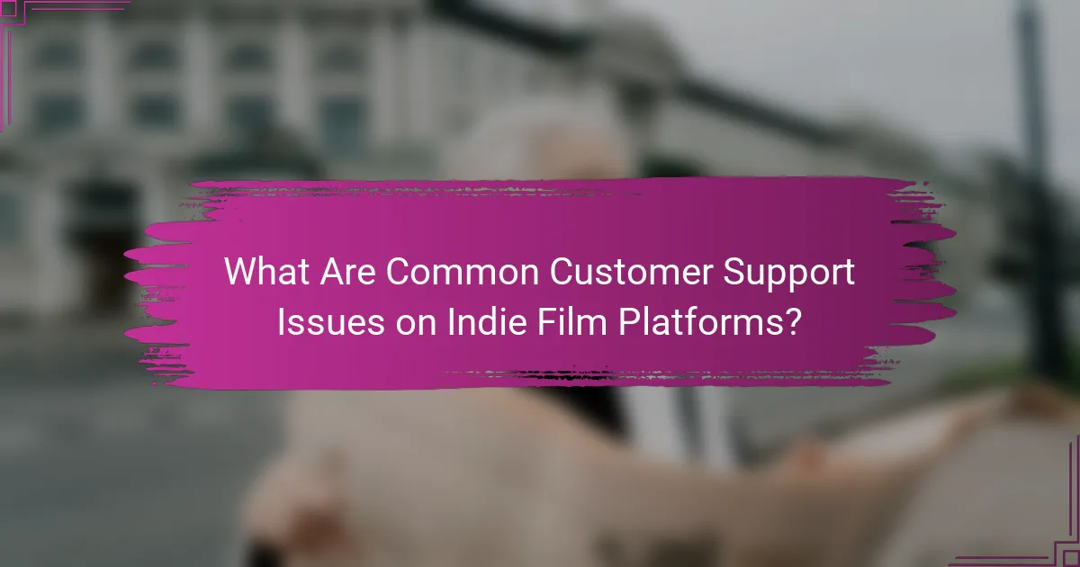 What Are Common Customer Support Issues on Indie Film Platforms?