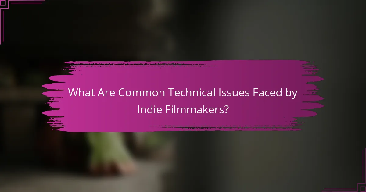 What Are Common Technical Issues Faced by Indie Filmmakers?