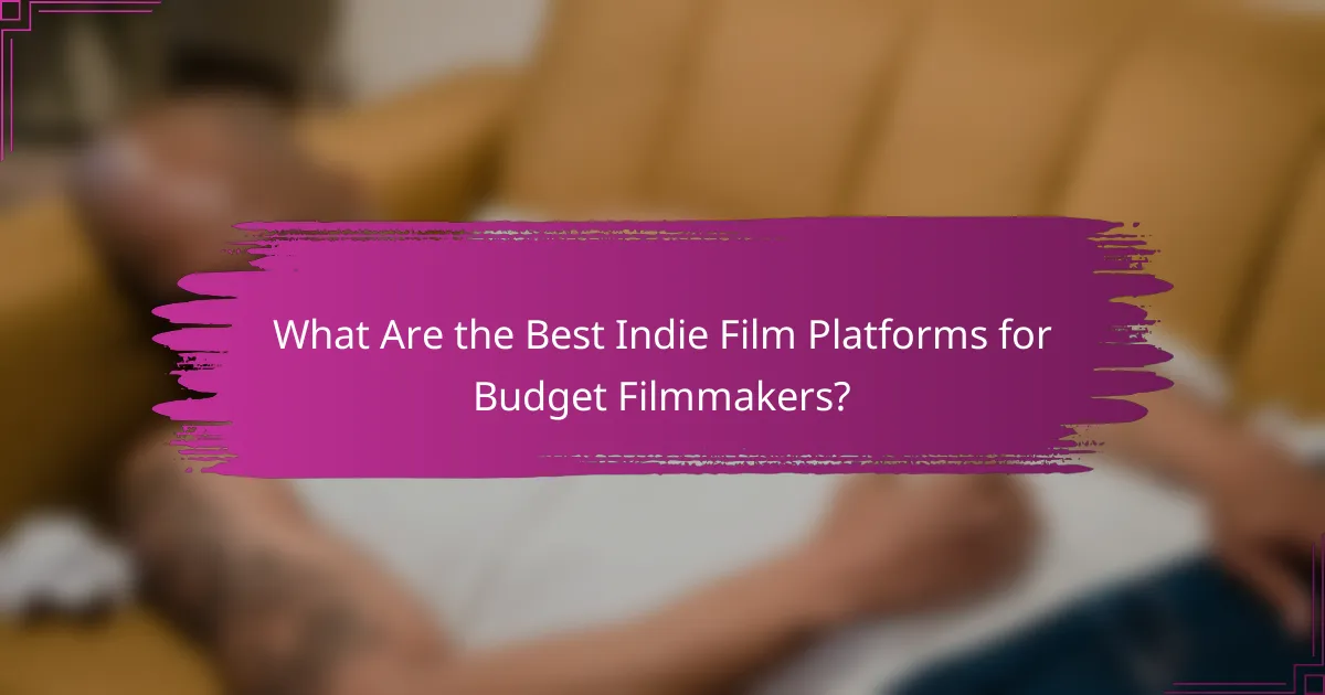What Are the Best Indie Film Platforms for Budget Filmmakers?