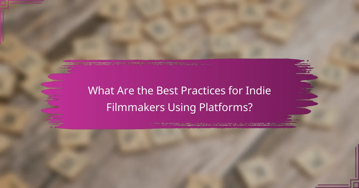 What Are the Best Practices for Indie Filmmakers Using Platforms?