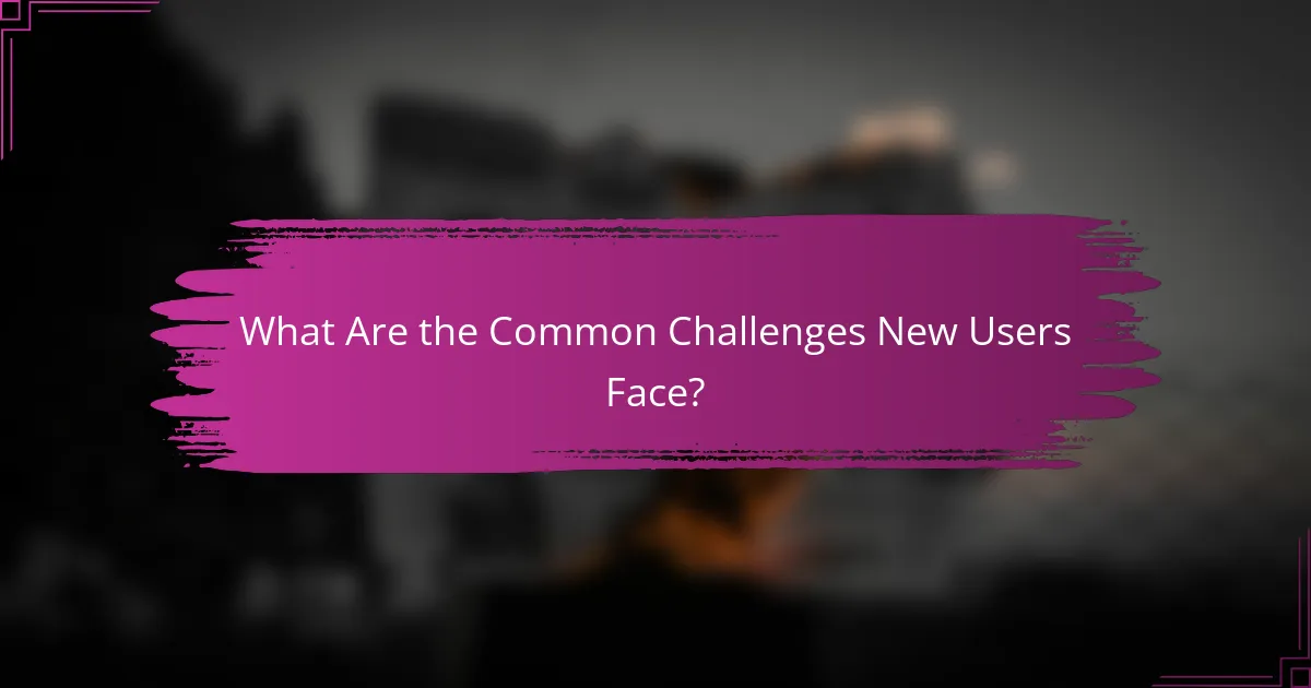 What Are the Common Challenges New Users Face?