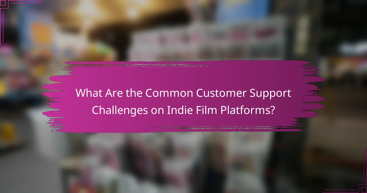 What Are the Common Customer Support Challenges on Indie Film Platforms?