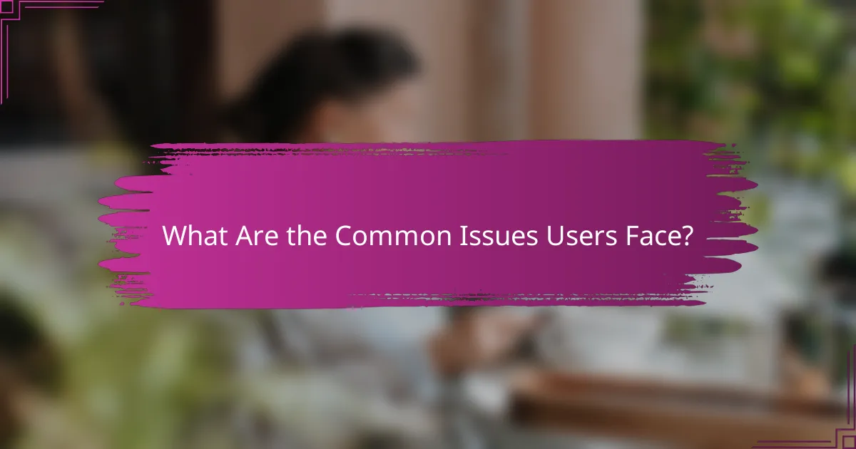 What Are the Common Issues Users Face?