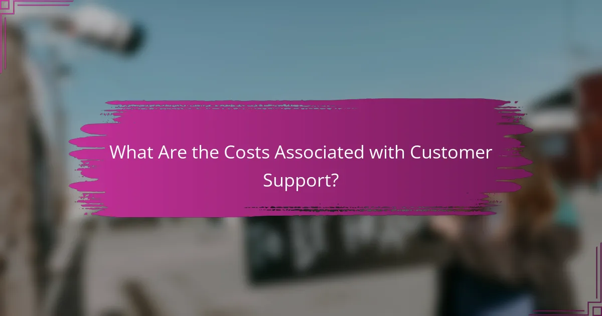 What Are the Costs Associated with Customer Support?
