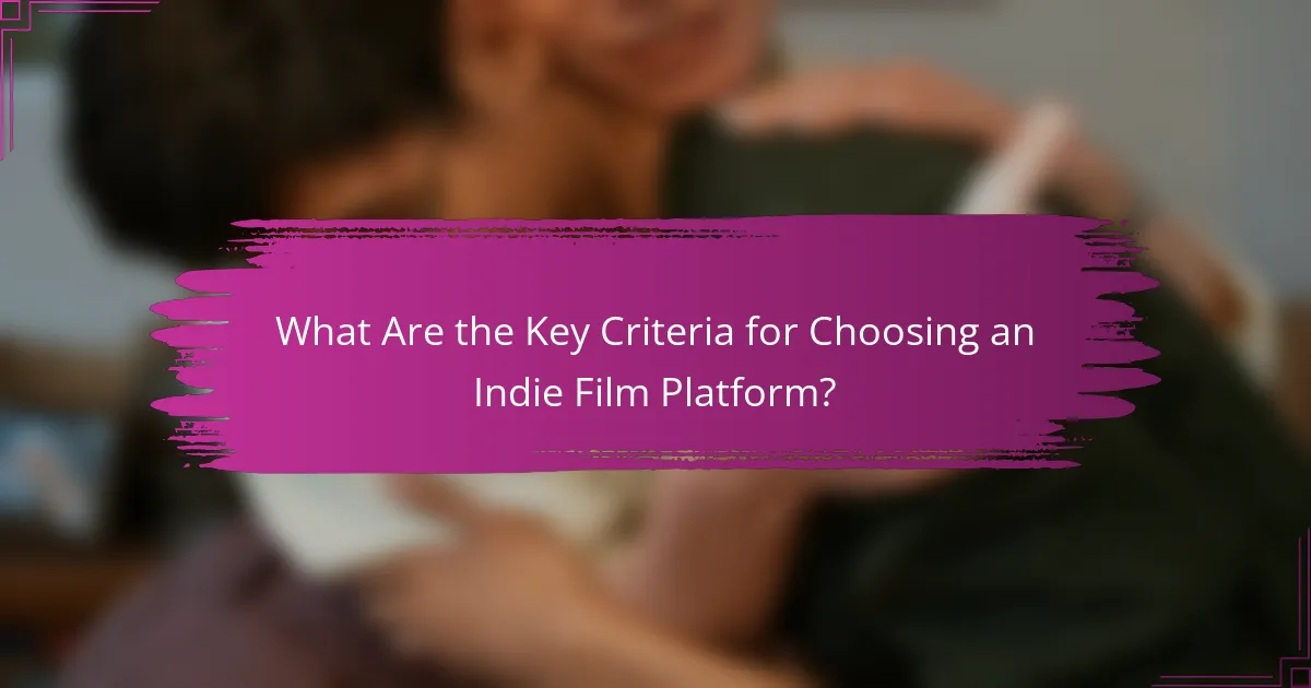 What Are the Key Criteria for Choosing an Indie Film Platform?