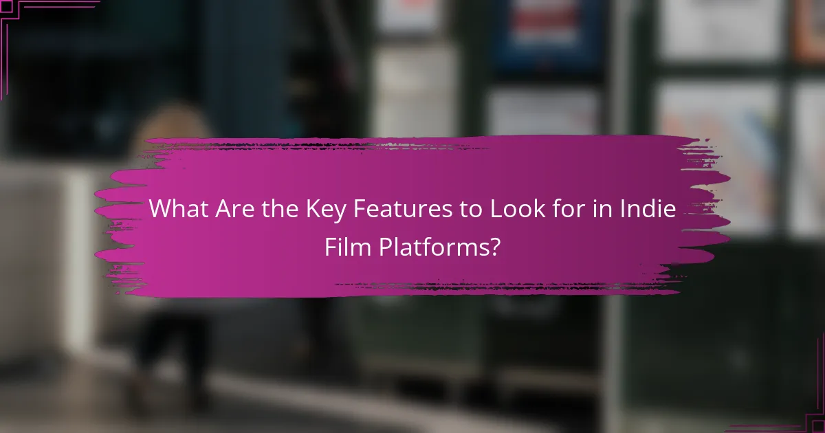 What Are the Key Features to Look for in Indie Film Platforms?