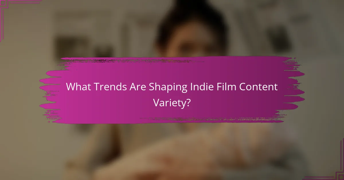 What Trends Are Shaping Indie Film Content Variety?