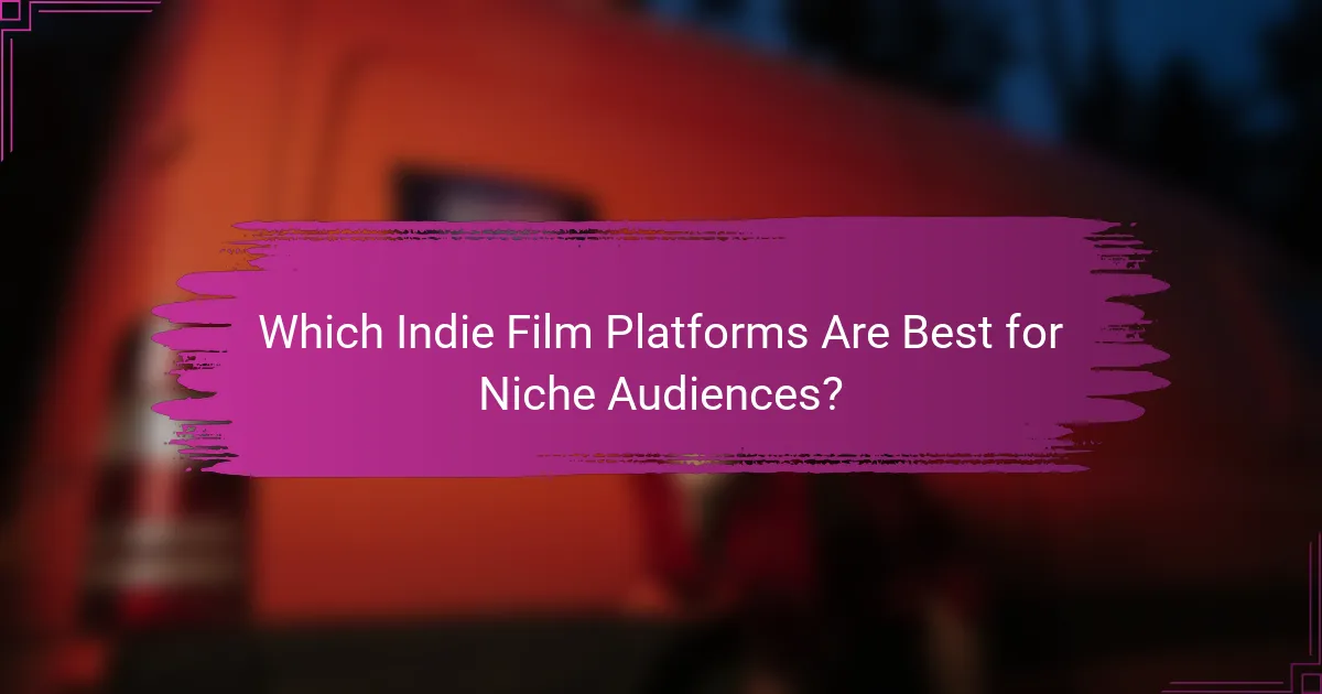 Which Indie Film Platforms Are Best for Niche Audiences?